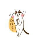 Jane-Jane cat（個別スタンプ：19）