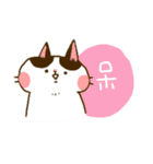 Jane-Jane cat（個別スタンプ：20）