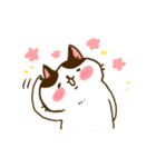 Jane-Jane cat（個別スタンプ：24）