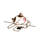 Jane-Jane cat（個別スタンプ：34）