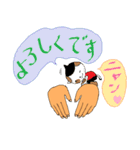 手のりニャンコ（個別スタンプ：17）