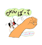 手のりニャンコ（個別スタンプ：19）