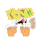 手のりニャンコ（個別スタンプ：29）