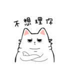 Whitefat and his friends（個別スタンプ：24）