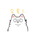 Whitefat and his friends（個別スタンプ：26）
