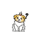 pokko（個別スタンプ：1）
