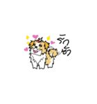 pokko（個別スタンプ：2）