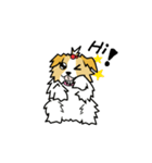 pokko（個別スタンプ：3）