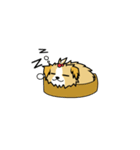 pokko（個別スタンプ：6）