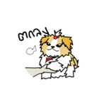pokko（個別スタンプ：8）