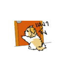 pokko（個別スタンプ：9）