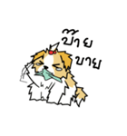 pokko（個別スタンプ：11）