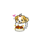 pokko（個別スタンプ：14）