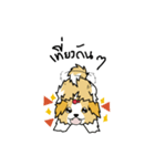 pokko（個別スタンプ：15）