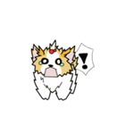 pokko（個別スタンプ：16）