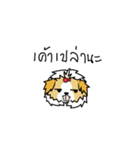 pokko（個別スタンプ：18）