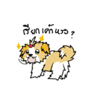 pokko（個別スタンプ：24）