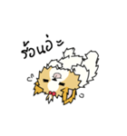 pokko（個別スタンプ：30）