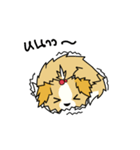 pokko（個別スタンプ：31）