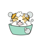 pokko（個別スタンプ：33）