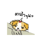 pokko（個別スタンプ：37）