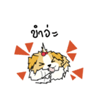 pokko（個別スタンプ：38）