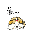 pokko（個別スタンプ：40）