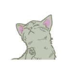 ちんまい こねこ ver.03（台詞なし）（個別スタンプ：14）