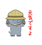 帽子なアニマルズ2（個別スタンプ：20）