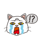 Super fat cat（個別スタンプ：1）