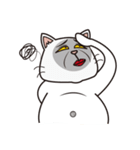 Super fat cat（個別スタンプ：8）