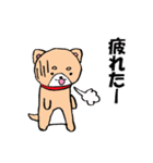 柴犬っぽい犬の日常（個別スタンプ：5）