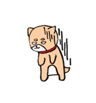 柴犬っぽい犬の日常（個別スタンプ：7）