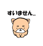 柴犬っぽい犬の日常（個別スタンプ：10）