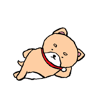 柴犬っぽい犬の日常（個別スタンプ：14）