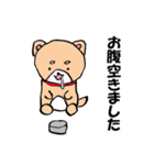 柴犬っぽい犬の日常（個別スタンプ：22）