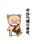 柴犬っぽい犬の日常（個別スタンプ：23）