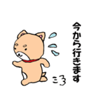 柴犬っぽい犬の日常（個別スタンプ：24）