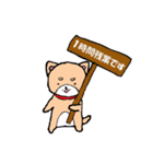 柴犬っぽい犬の日常（個別スタンプ：27）