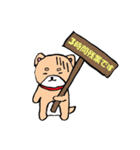 柴犬っぽい犬の日常（個別スタンプ：29）