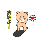 柴犬っぽい犬の日常（個別スタンプ：36）