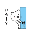 新井さんが使うネコのスタンプ（個別スタンプ：3）