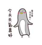 The penguin Pinta（個別スタンプ：1）