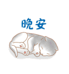 Animal life everyday（個別スタンプ：8）