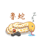 Animal life everyday（個別スタンプ：40）