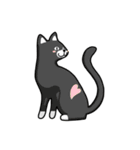 sneaky kitty - Mikan（個別スタンプ：17）