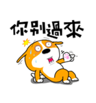 White eyes DOG（個別スタンプ：36）