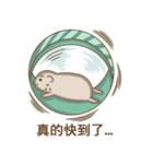Hamster Revolution（個別スタンプ：14）