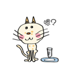 Xi Shan DuDu cat（個別スタンプ：1）