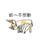 Xi Shan DuDu cat（個別スタンプ：2）